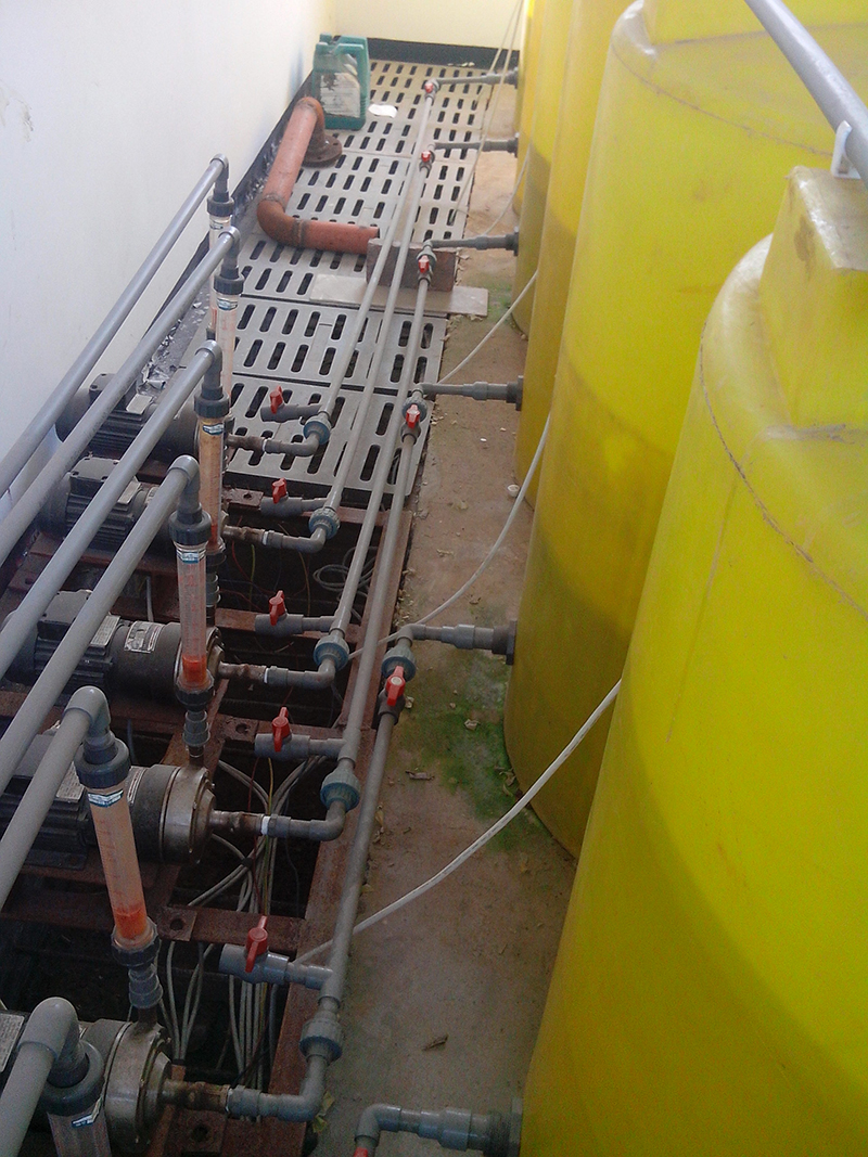 1656047417880129.jpg 3.jpg