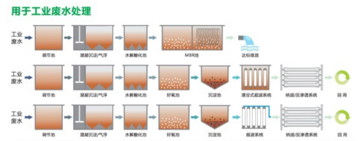 1672907619232779.png CKjyb2uzRg6cX4QlkaPCfQ.png