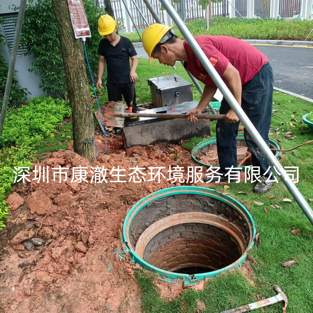 1673246488707545.jpeg 1673246488707545.jpeg